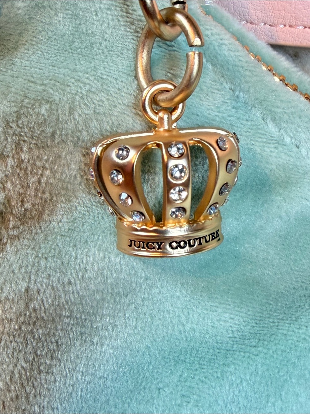 NWT Viral Juicy Couture New Love Chapter Shoulder Bag Frosty Green Velour Crest - Picture 6 of 16